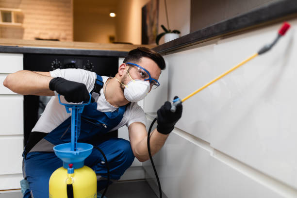 Best Flea Control Services  in Carney, MD