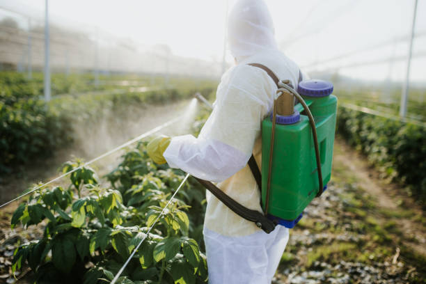 Pest Control for Restaurants in Carney, MD